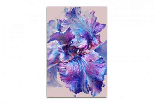 Картина Тёмно-фиолетовый ирис